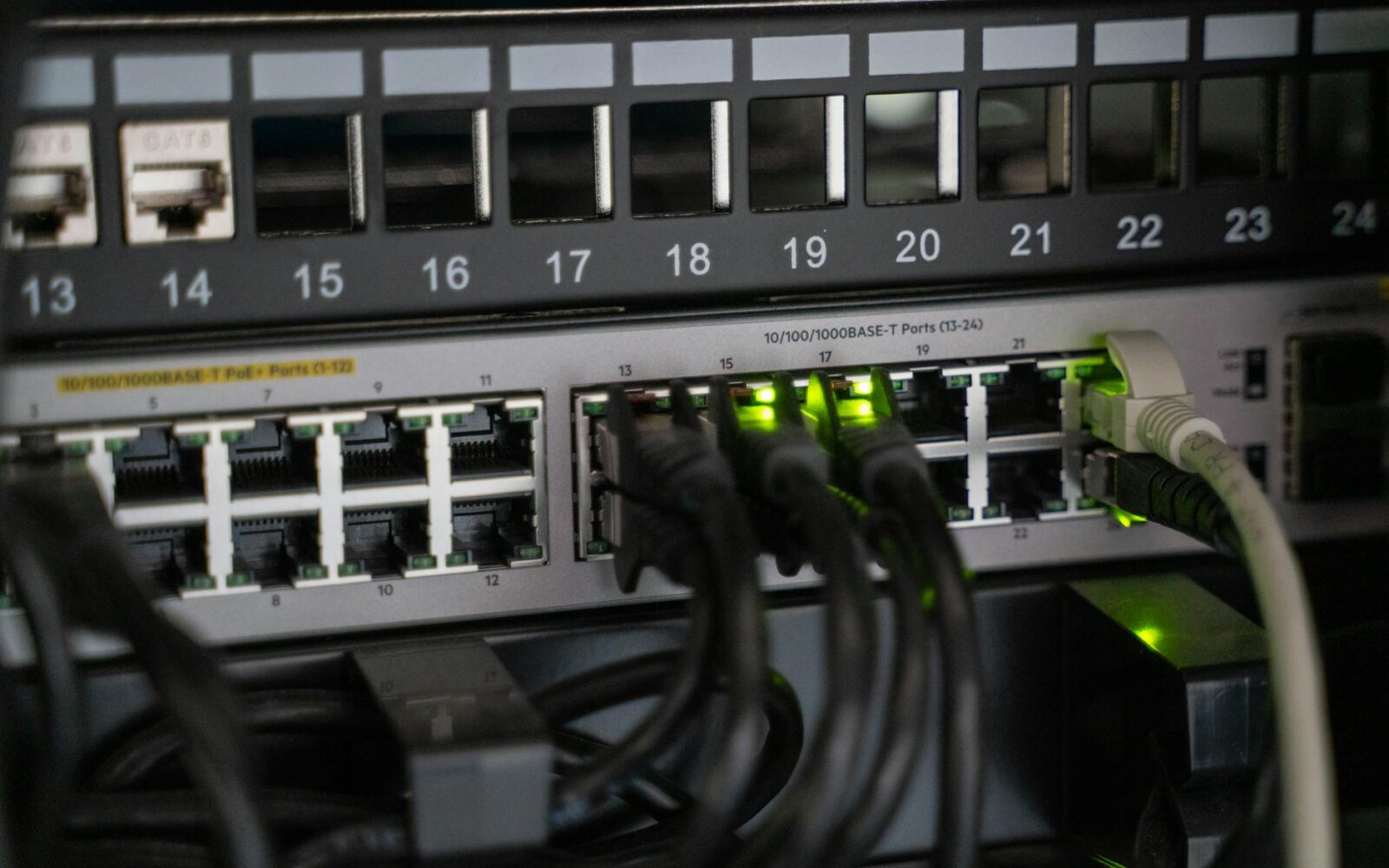 CData Strengthens Executive Team Amid Shift to AI Infrastructure