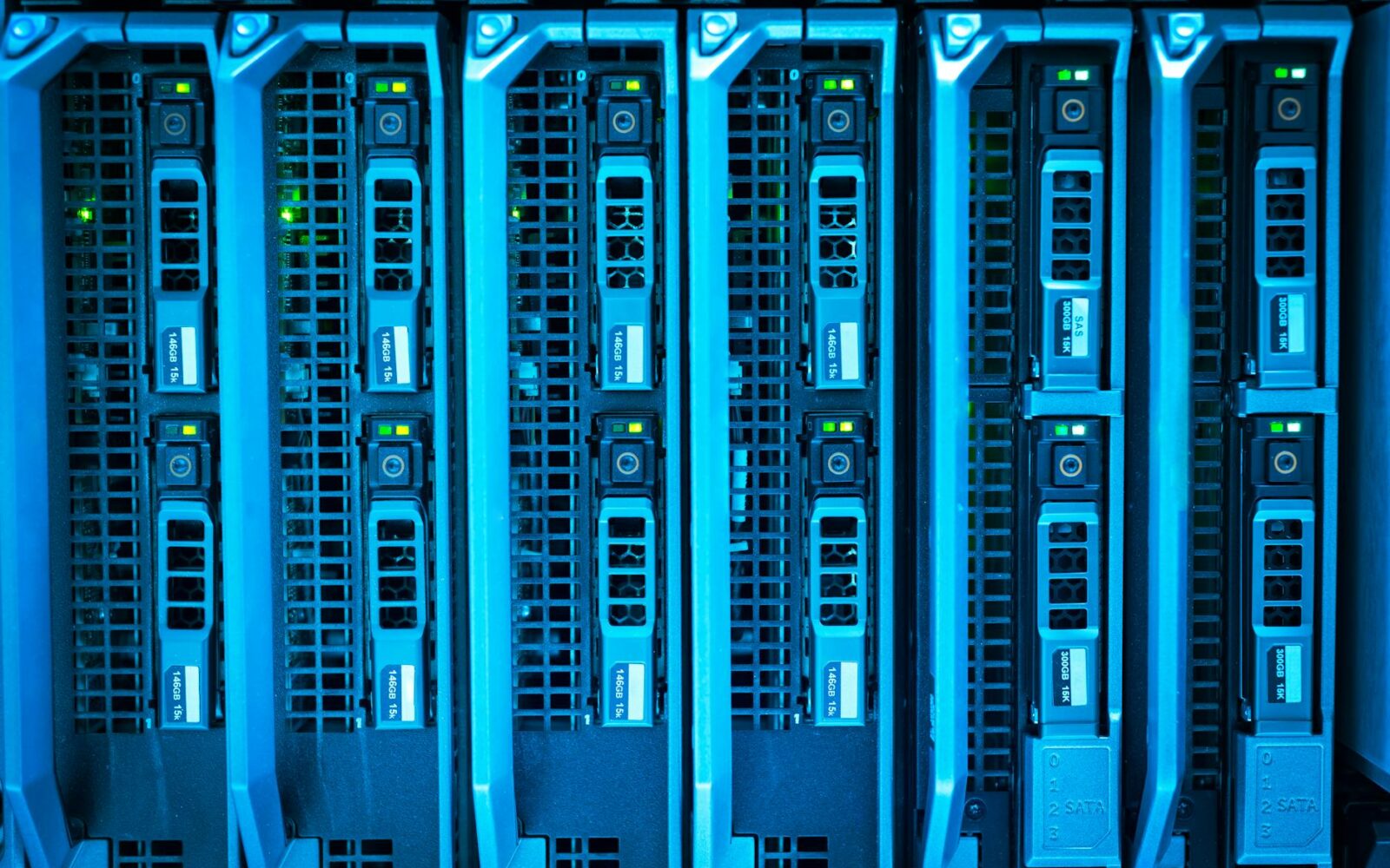 WiseNut Reports 34% Revenue Growth Driven by AI Agent Expansion