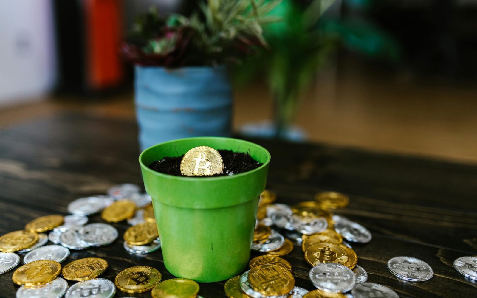 Anthropic’s Valuation Surges Amid Strategic Microsoft Partnership
