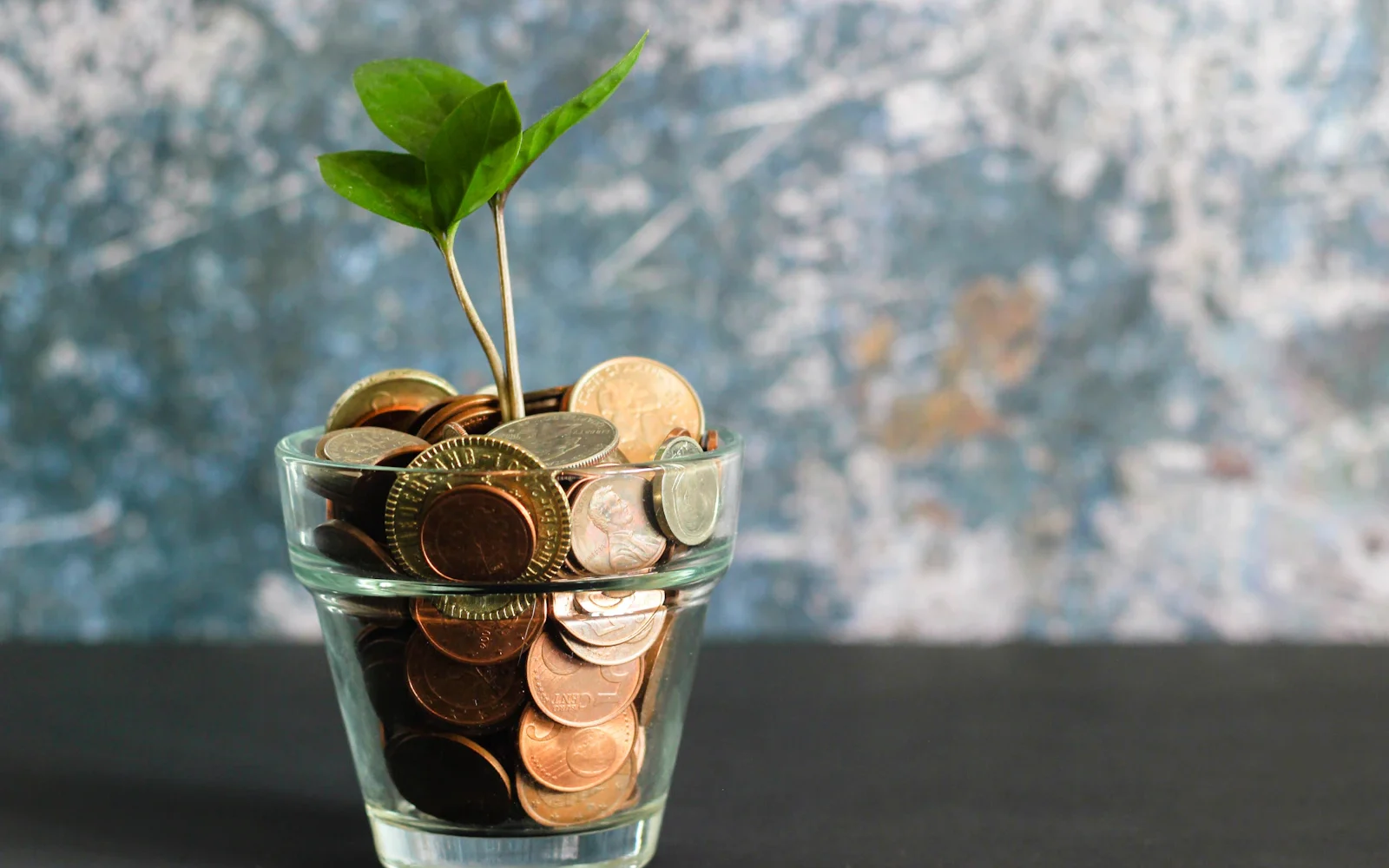 Gemini Space Station Stock Jumps 13.51% After Strong Q1 Performance