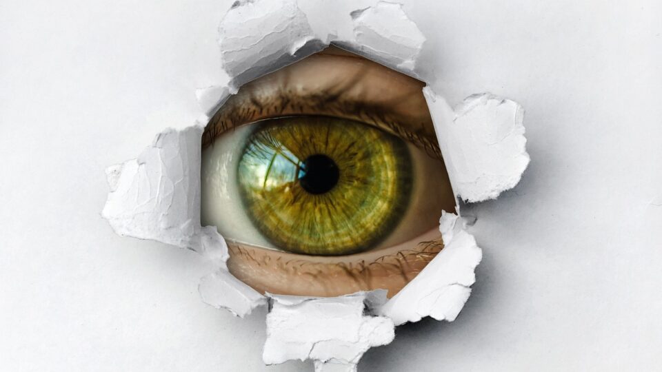 OpenClaw Vulnerability Highlights Urgent Need for AI Agent Governance
