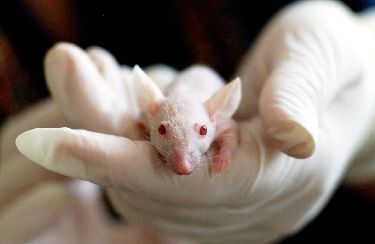 General-Purpose Coding Agents Struggle in Neuroscience Data Discovery
