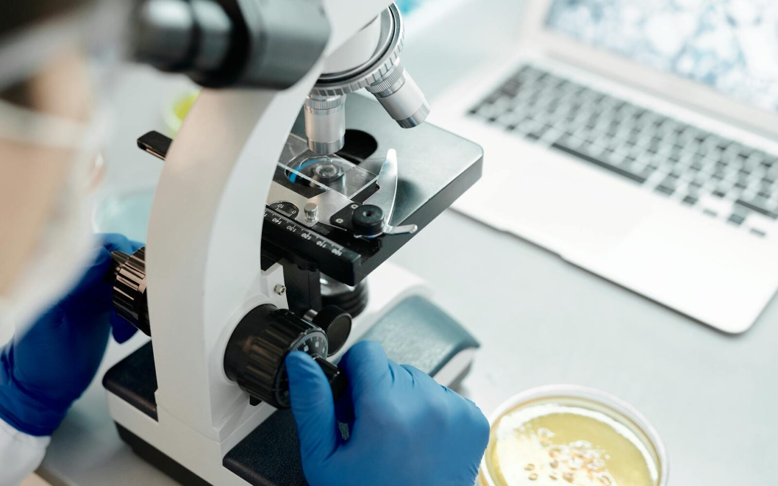 OpenFold Consortium Welcomes Eleven New Members to Drive AI in Drug Discovery