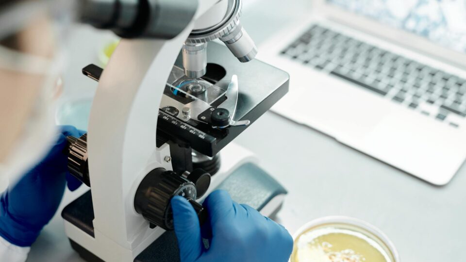 OpenFold Consortium Welcomes Eleven New Members to Drive AI in Drug Discovery