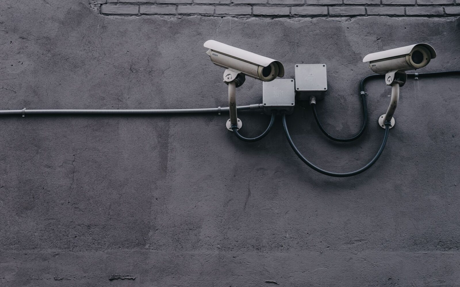 Microsoft’s Data Practices Highlight Privacy Concerns in AI Funding
